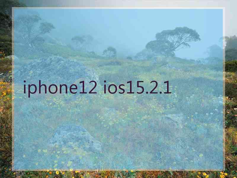 iphone12 ios15.2.1