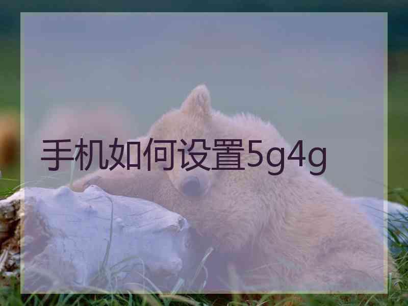 手机如何设置5g4g