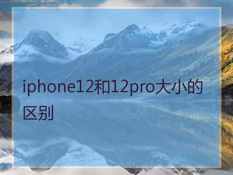 iphone12和12pro大小的区别