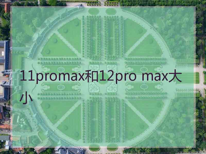 11promax和12pro max大小