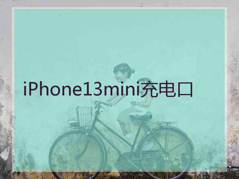 iPhone13mini充电口