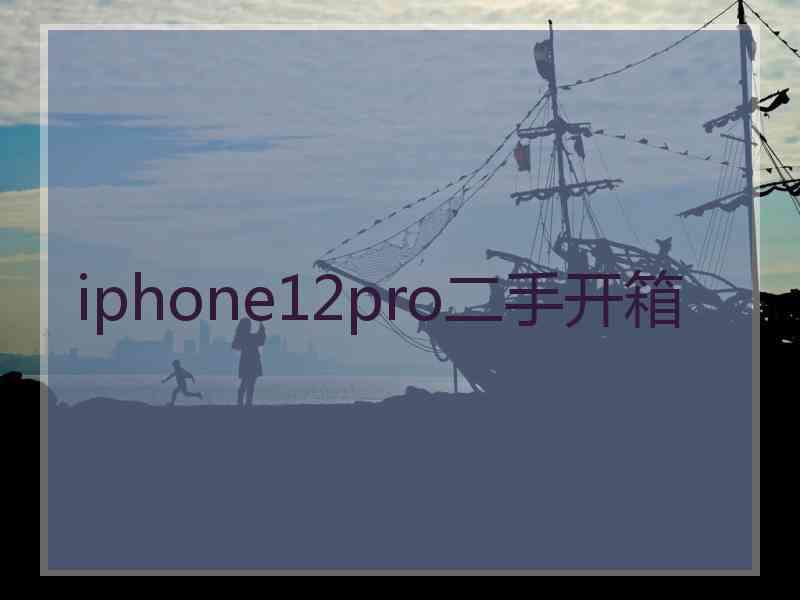 iphone12pro二手开箱