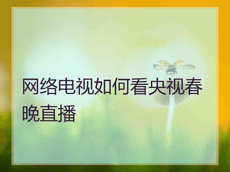 网络电视如何看央视春晚直播