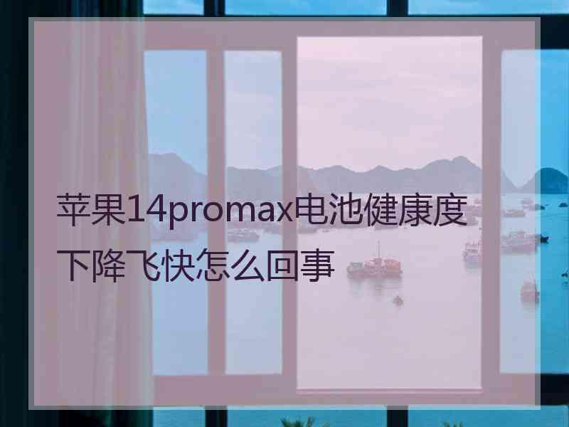 苹果14promax电池健康度下降飞快怎么回事