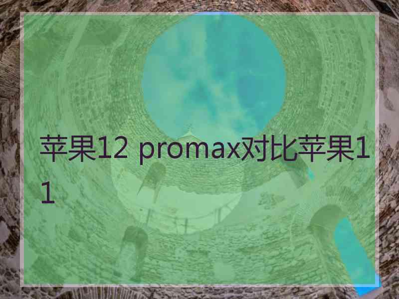 苹果12 promax对比苹果11