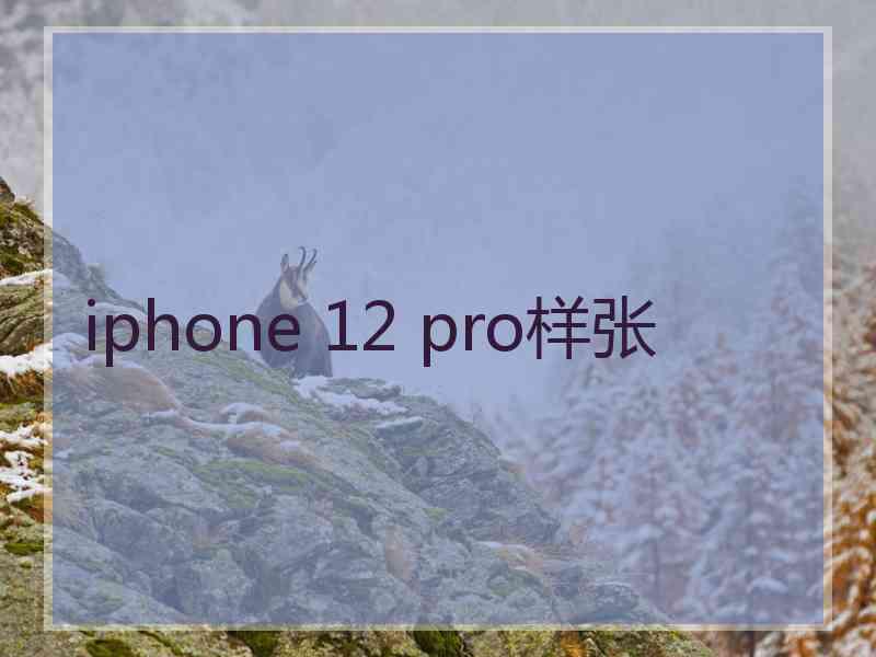 iphone 12 pro样张