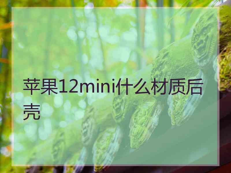 苹果12mini什么材质后壳