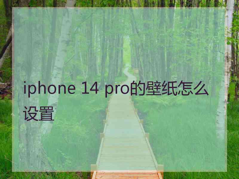 iphone 14 pro的壁纸怎么设置