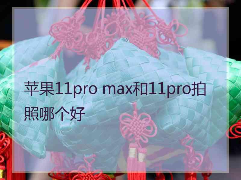 苹果11pro max和11pro拍照哪个好