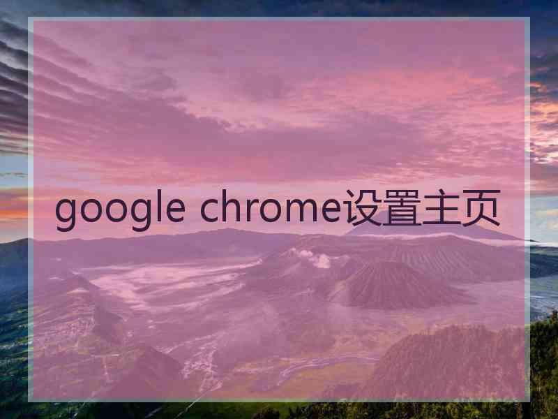 google chrome设置主页