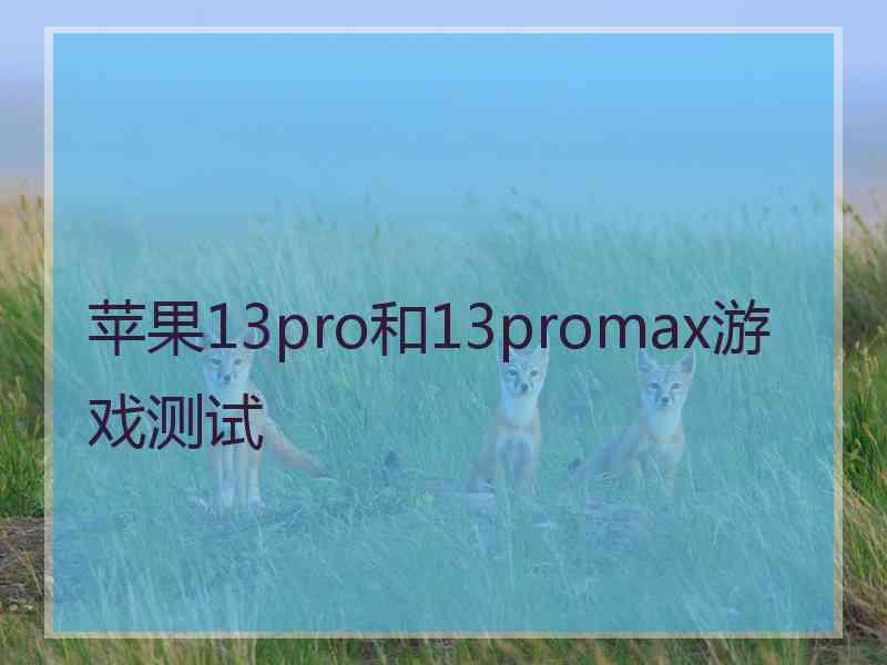 苹果13pro和13promax游戏测试