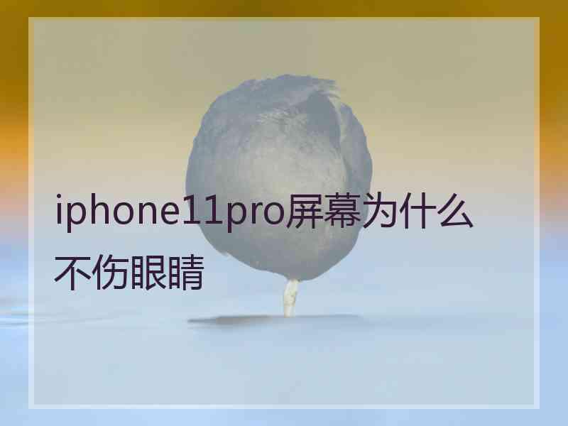 iphone11pro屏幕为什么不伤眼睛