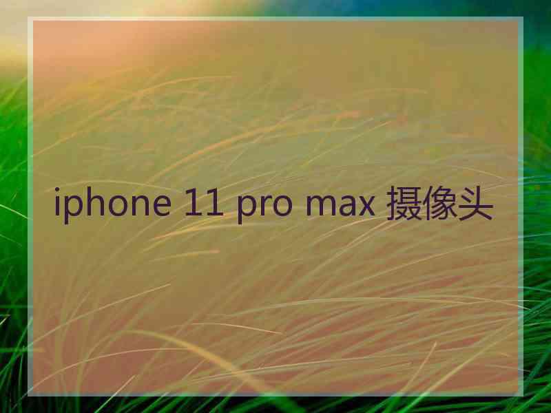 iphone 11 pro max 摄像头