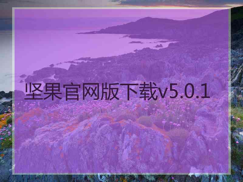 坚果官网版下载v5.0.1