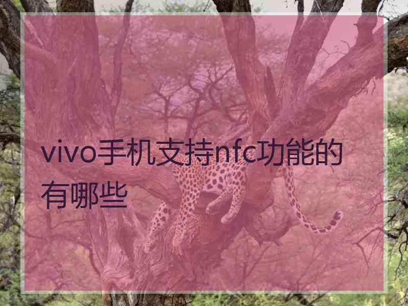 vivo手机支持nfc功能的有哪些