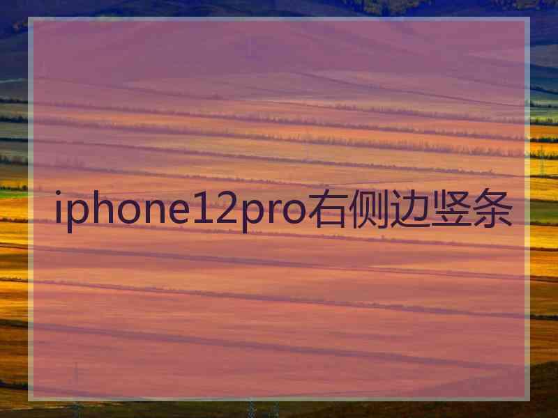 iphone12pro右侧边竖条