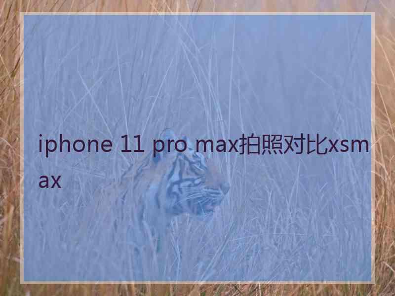 iphone 11 pro max拍照对比xsmax