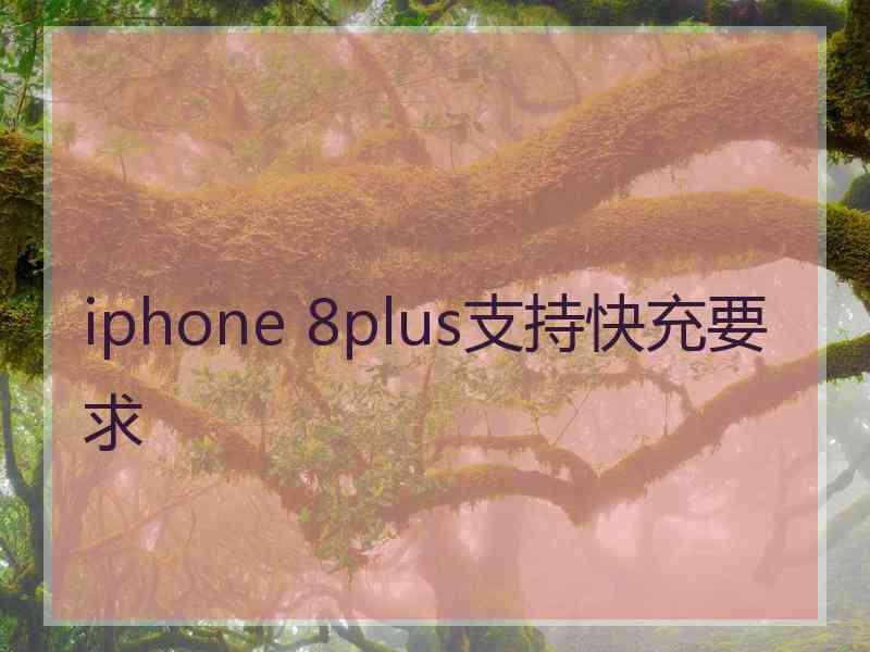 iphone 8plus支持快充要求