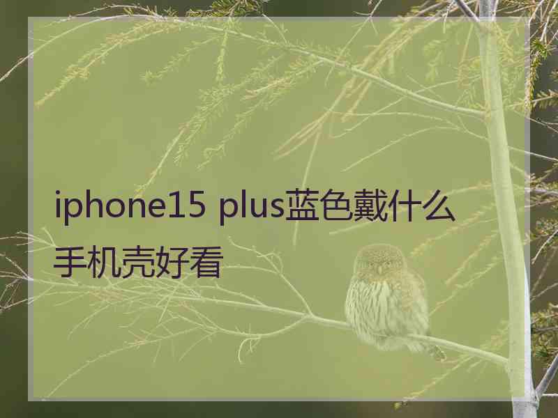 iphone15 plus蓝色戴什么手机壳好看