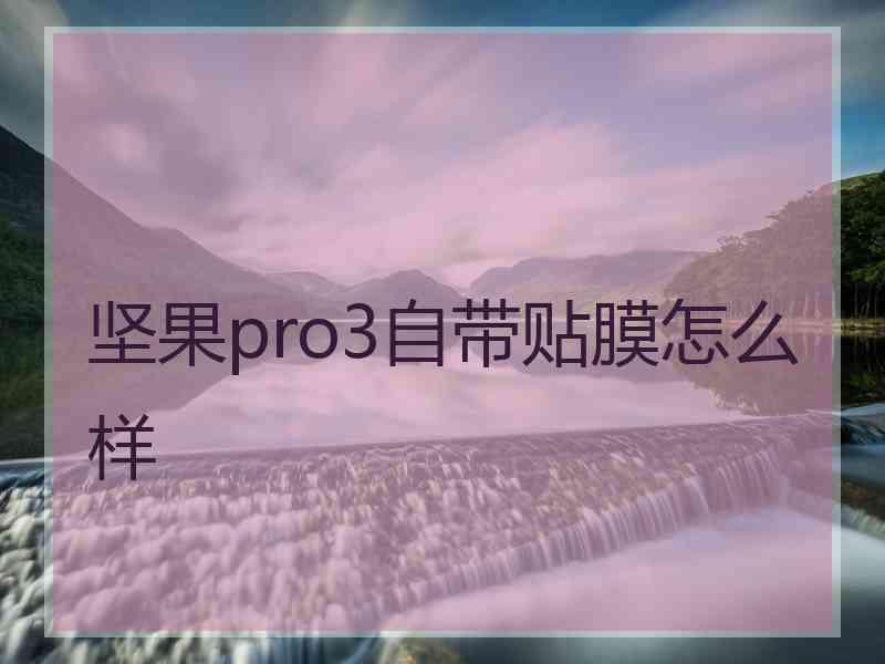 坚果pro3自带贴膜怎么样