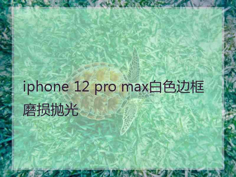 iphone 12 pro max白色边框磨损抛光