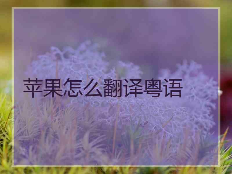 苹果怎么翻译粤语