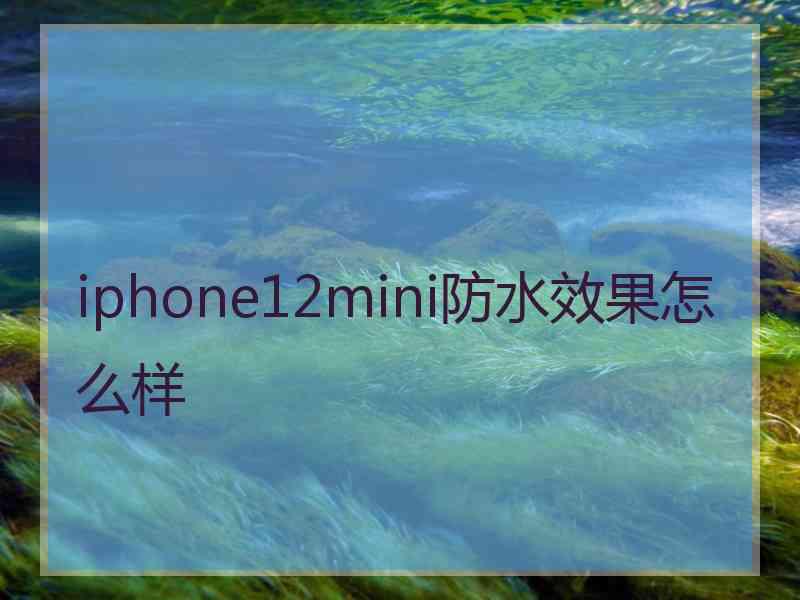 iphone12mini防水效果怎么样