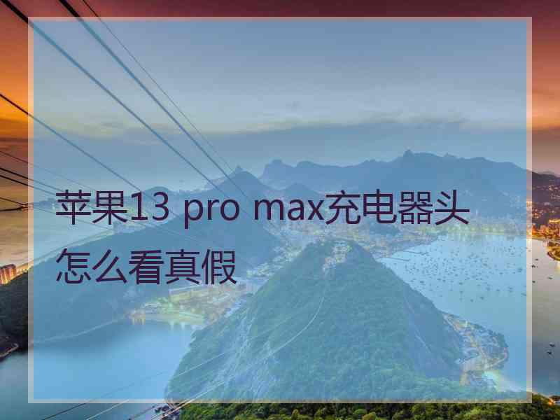 苹果13 pro max充电器头怎么看真假