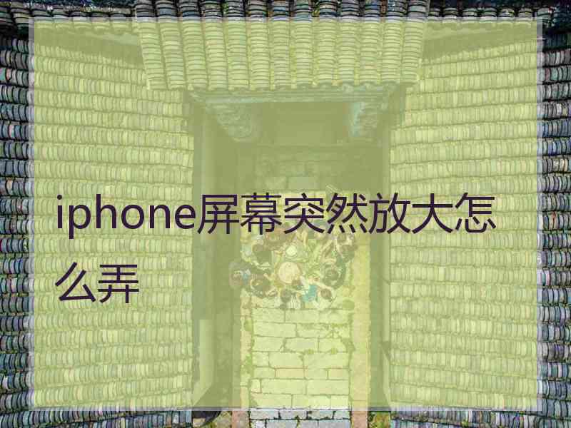 iphone屏幕突然放大怎么弄