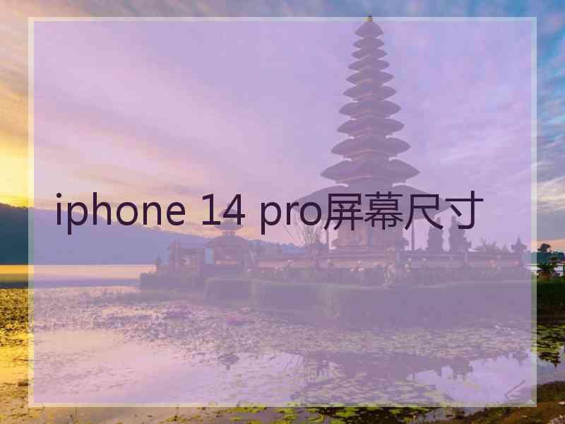 iphone 14 pro屏幕尺寸