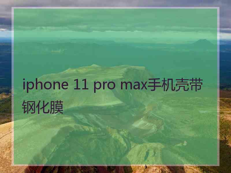 iphone 11 pro max手机壳带钢化膜