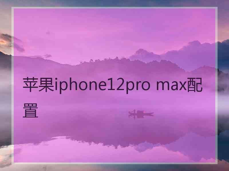 苹果iphone12pro max配置