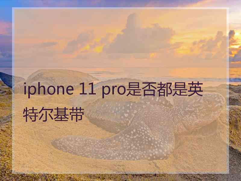 iphone 11 pro是否都是英特尔基带