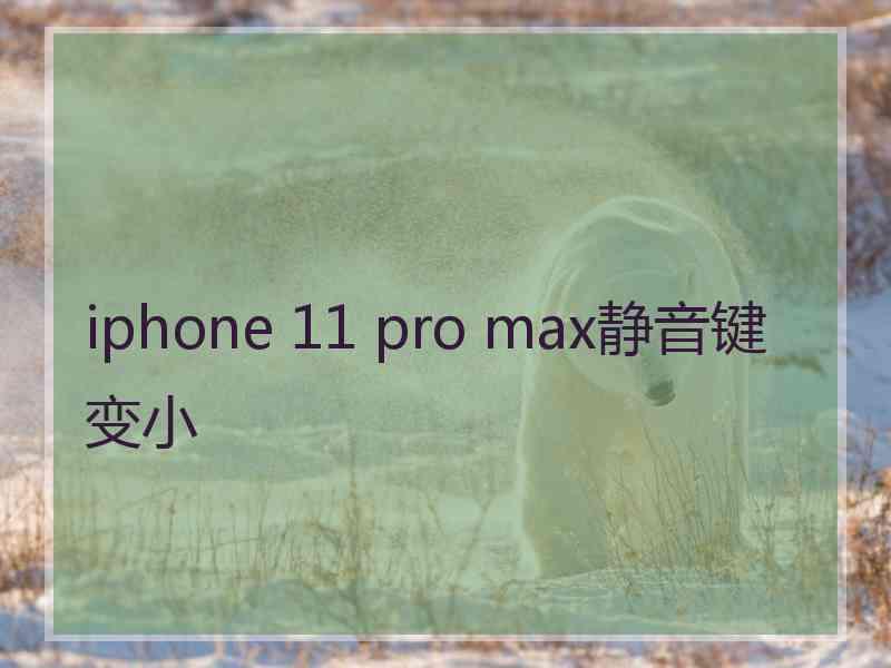 iphone 11 pro max静音键变小