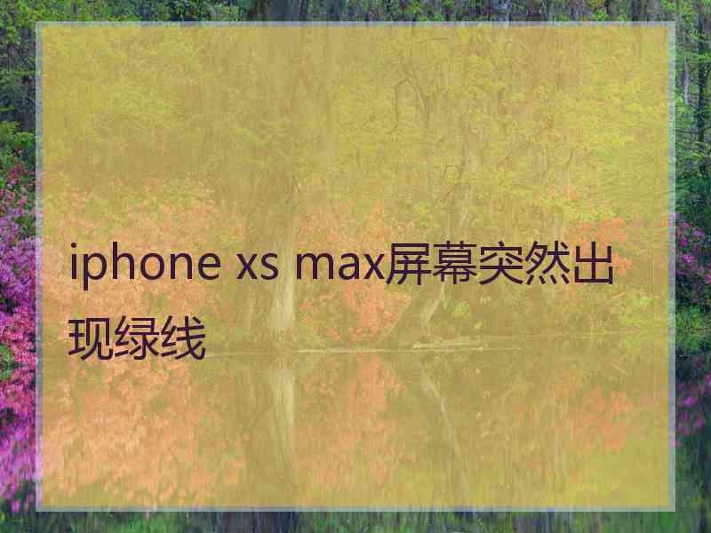 iphone xs max屏幕突然出现绿线