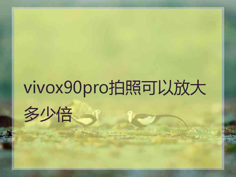 vivox90pro拍照可以放大多少倍