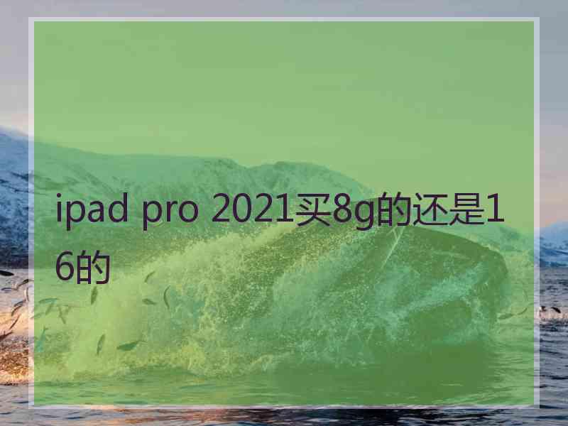 ipad pro 2021买8g的还是16的