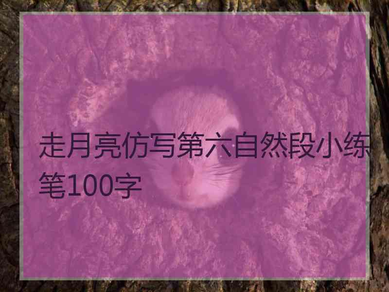 走月亮仿写第六自然段小练笔100字