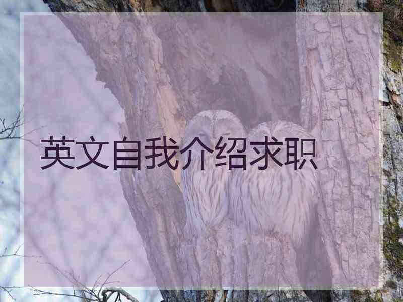 英文自我介绍求职