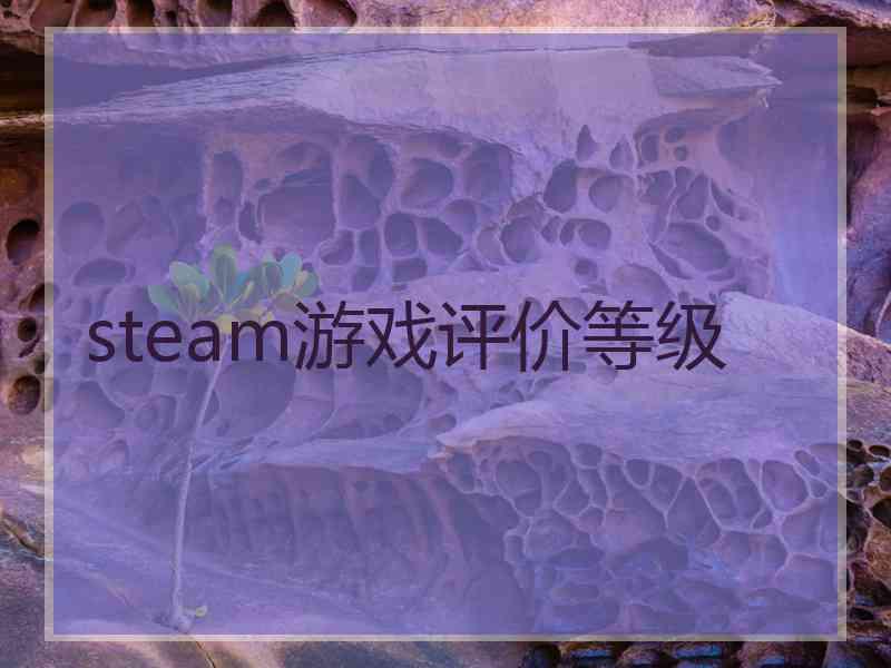 steam游戏评价等级