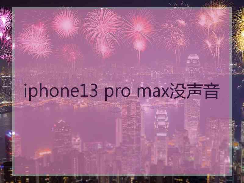 iphone13 pro max没声音