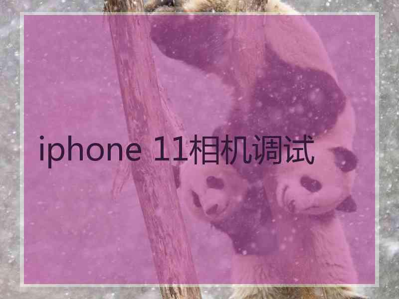 iphone 11相机调试