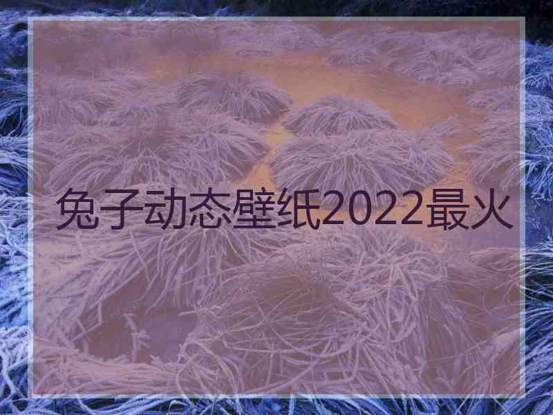 兔子动态壁纸2022最火