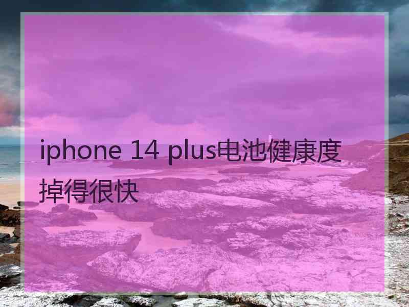 iphone 14 plus电池健康度掉得很快