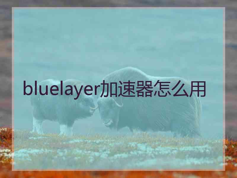 bluelayer加速器怎么用