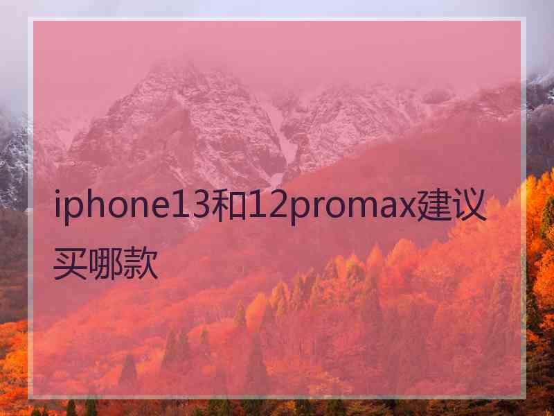 iphone13和12promax建议买哪款