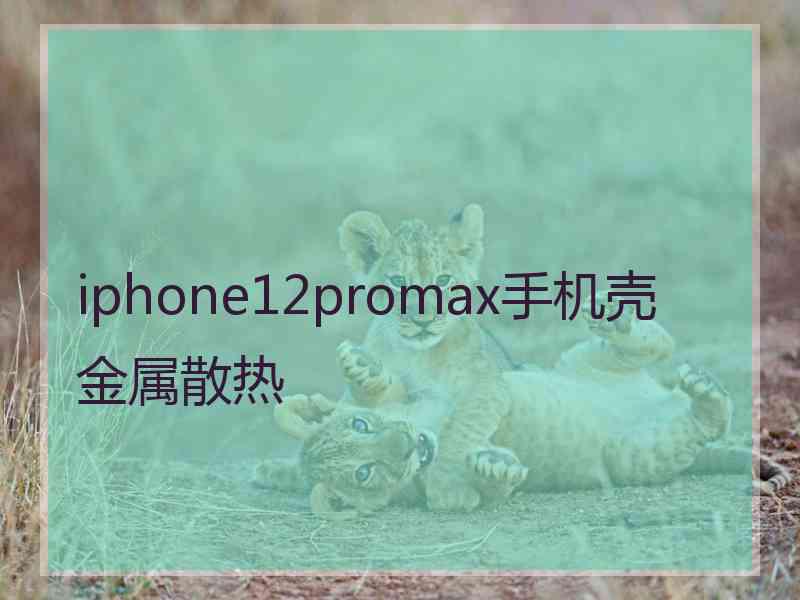 iphone12promax手机壳金属散热