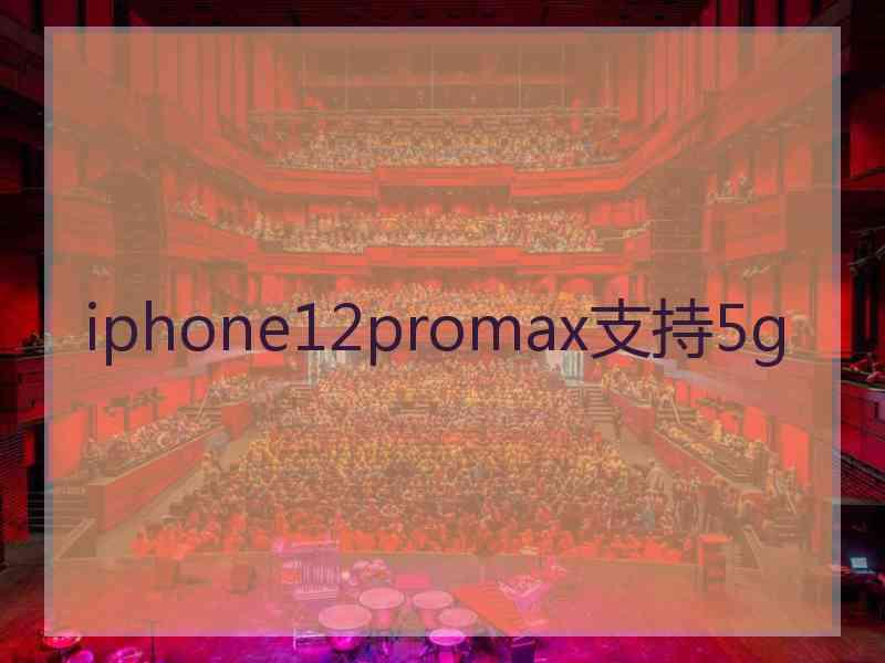 iphone12promax支持5g