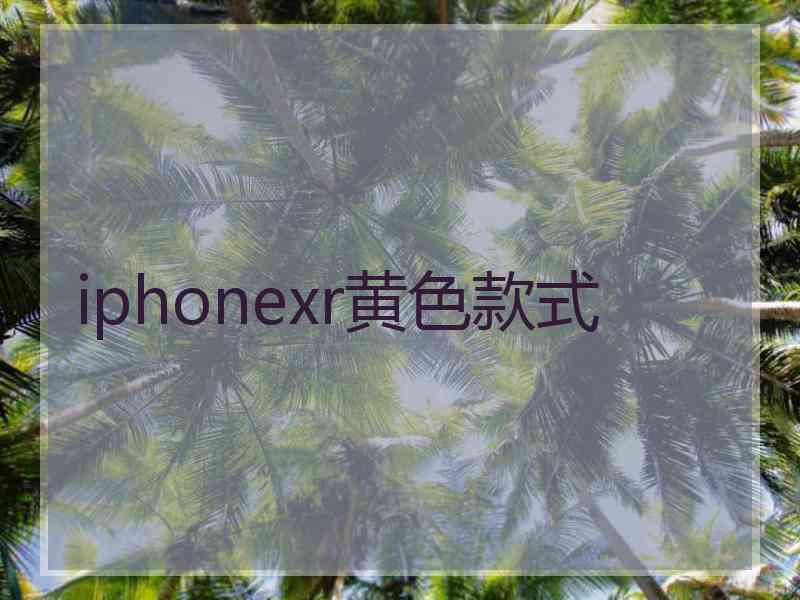 iphonexr黄色款式