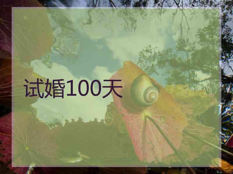 试婚100天